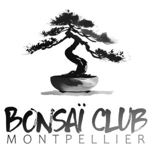 Logo bansaï club
