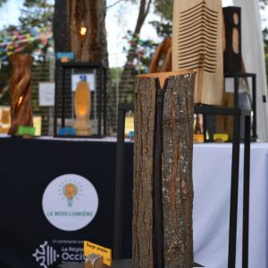 25-05-31_Regalarbre_JJSR_31