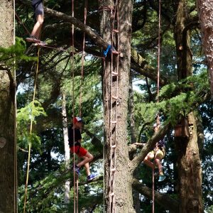 25_05_31_Re╠ügalarbre_CDT_125