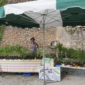 25_05_31_Re╠ügalarbre_PDT_14