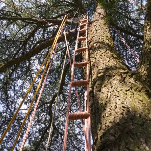 25_05_31_Re╠ügalarbre_PDT_20