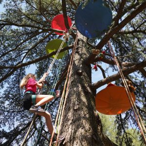 25_05_31_R├®galarbre_SNO_10